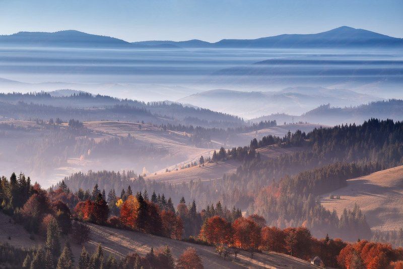 Weise Maxim, Belarus