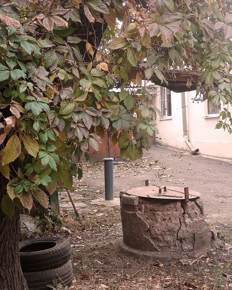 Photograph by Светлана Зубанова