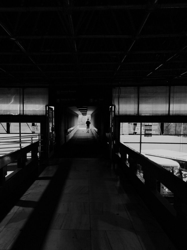 Фотография автора Diego Moyano