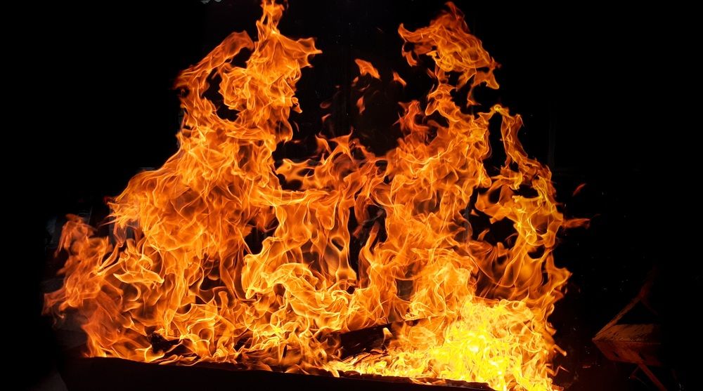 Фотография автора Кристина Присяжная