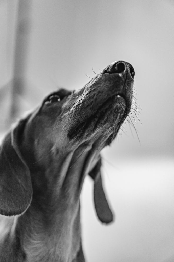 Фотография автора Юлия Першина