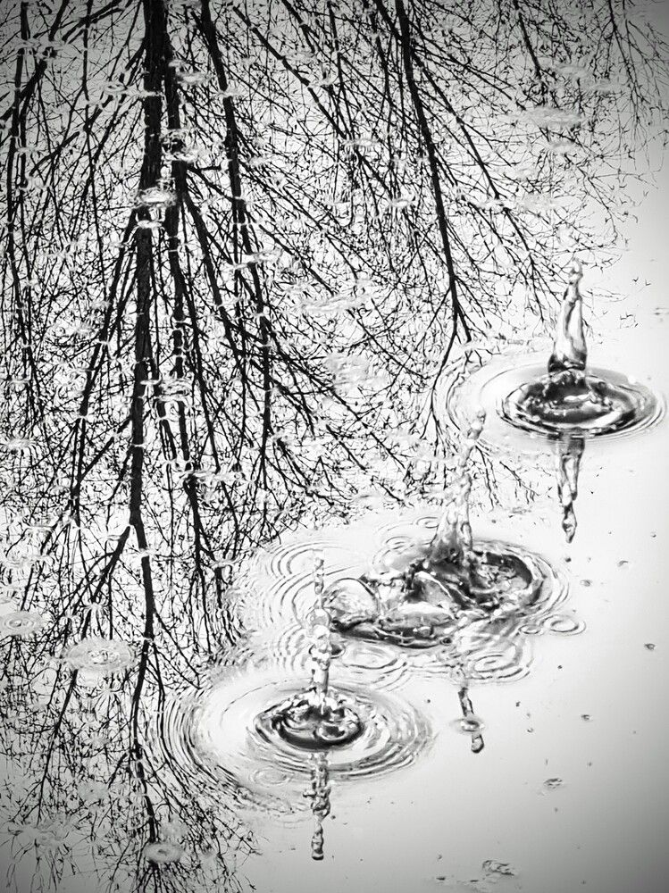 Фотография автора Diego Moyano