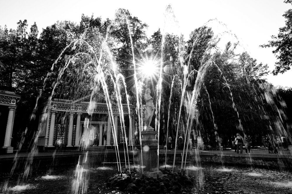 Прародитель рода человеческого