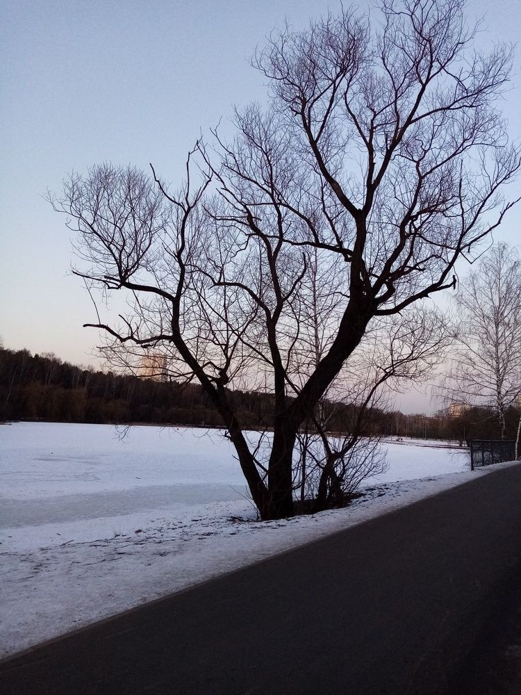 Иероглиф/Character