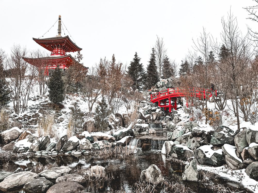 Фотография автора Екатерина Шумилова