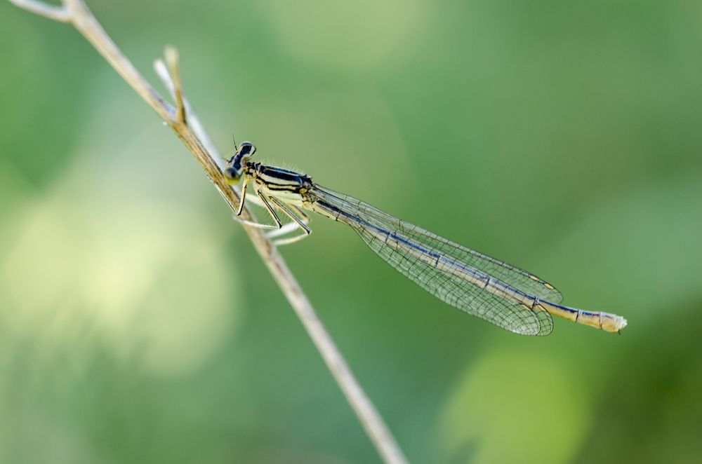 Фотография автора Андрей Федоров