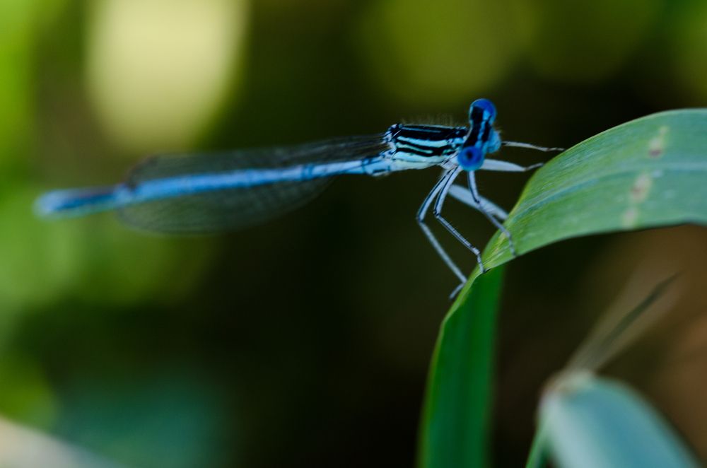 Фотография автора Андрей Федоров