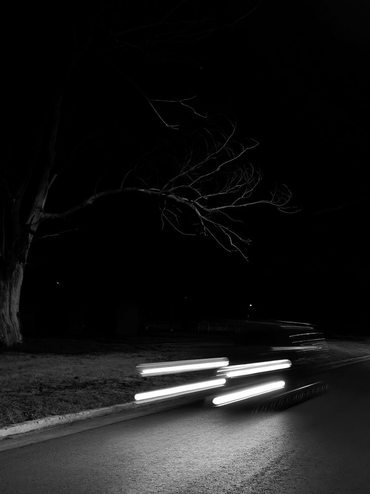 Фотография автора Diego Moyano