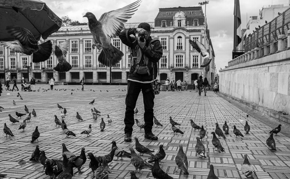 El cazador de instantes