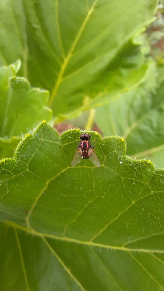 Фотография автора Anabela Maria Lima Silva
