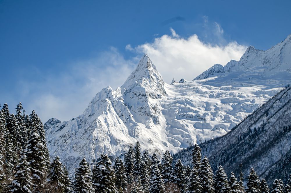 Вершины Домбая