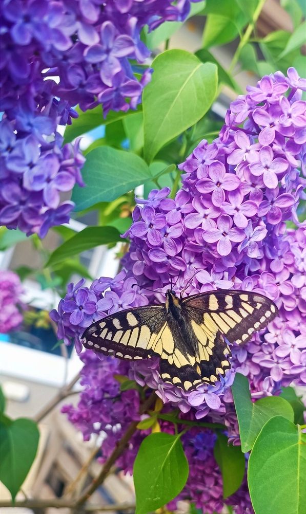 Photograph by Ульяна Северинова