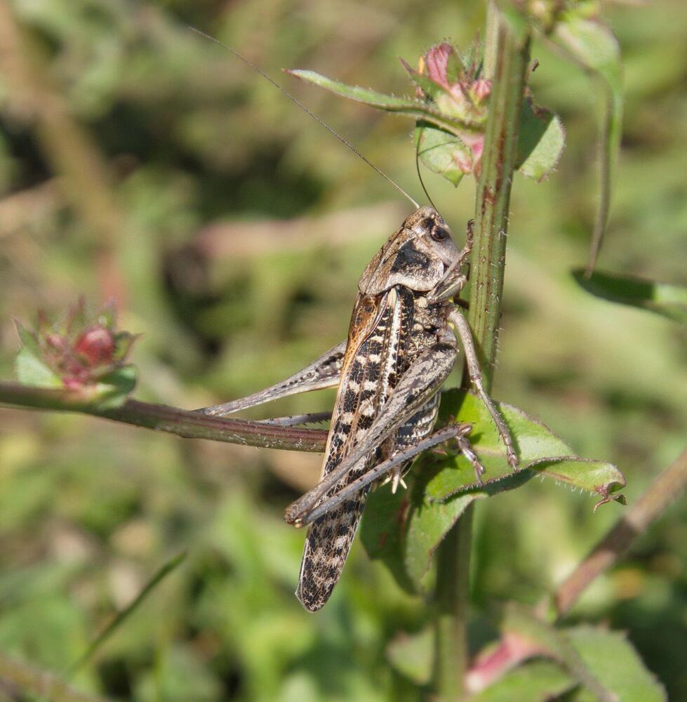Photograph by Василий Быстрицкий