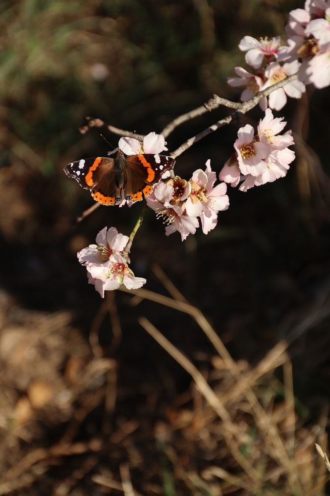 Фотография автора Ксения Золотарь