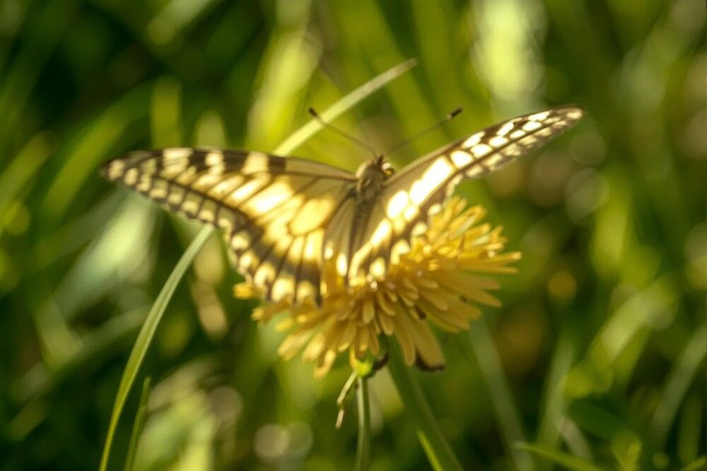 Photograph by миша