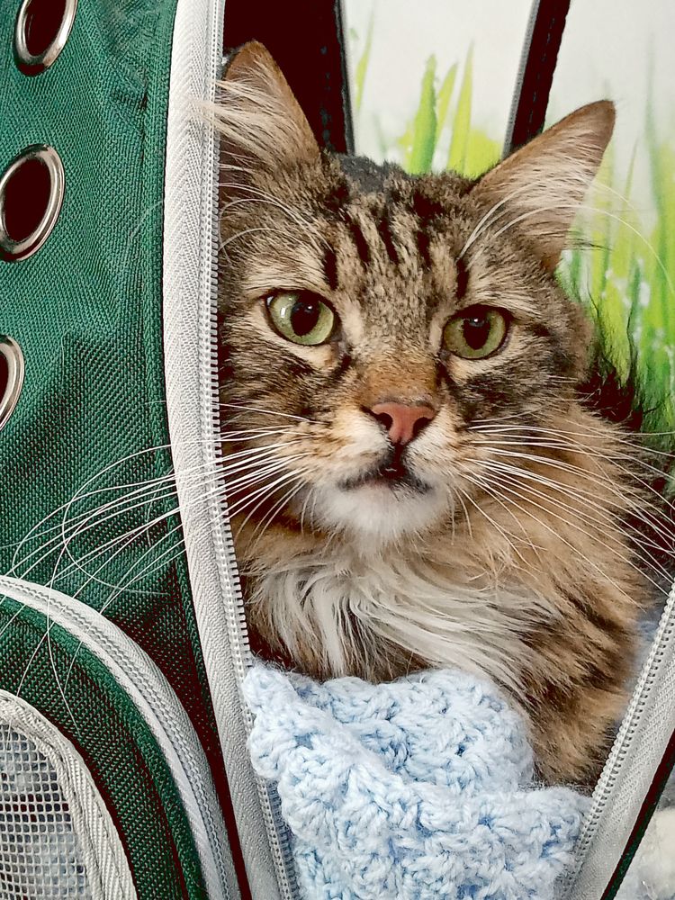 Photograph by Светлана Зубанова