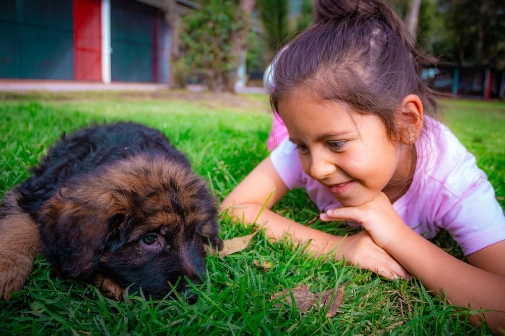 Фотография автора Roger Laverde