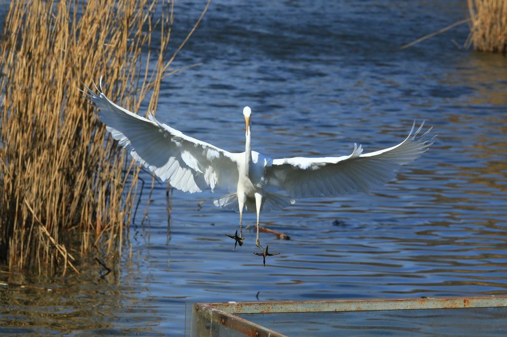 Photograph by Сергей Кульков