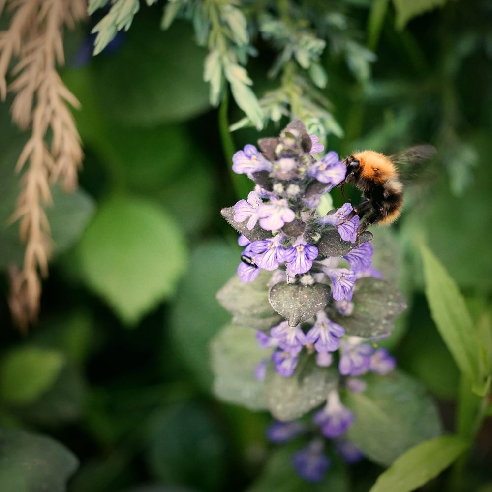 Photograph by Andrey Litov