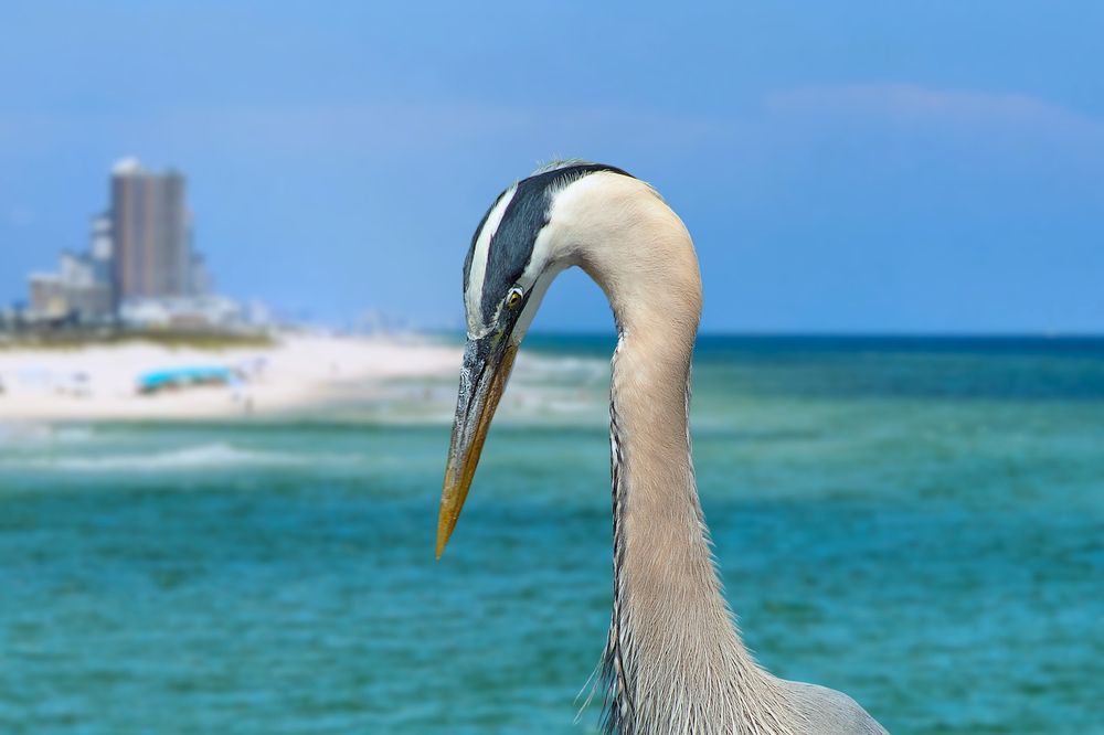 Photograph by Jeff Cooley