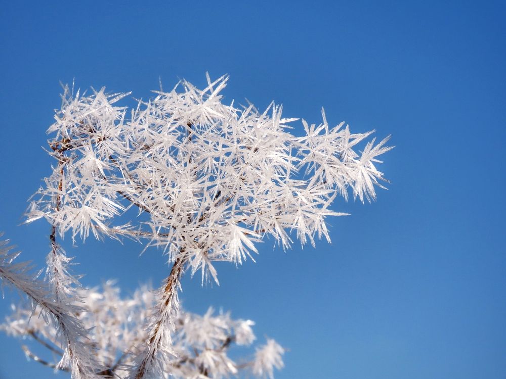 Photograph by Екатерина Солохина