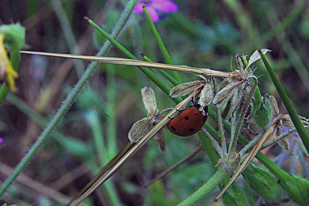 Фотография автора Сергей Рапопорт