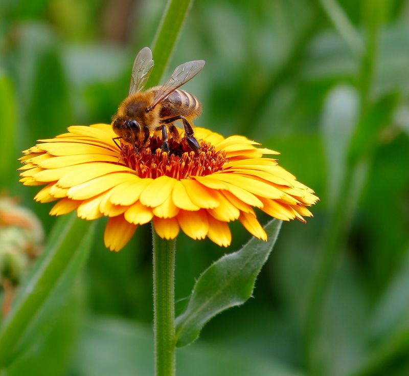 Nina Titenkova, Russia