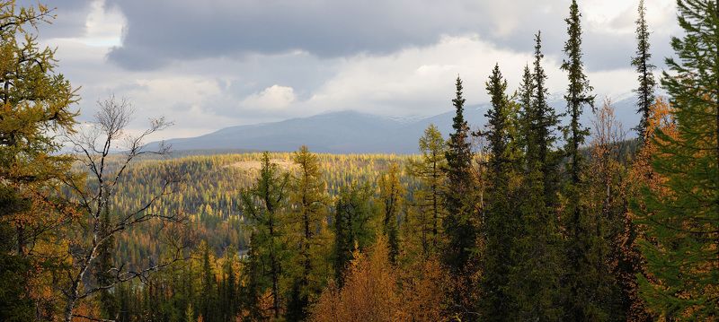 Григорий Пиль, Russia