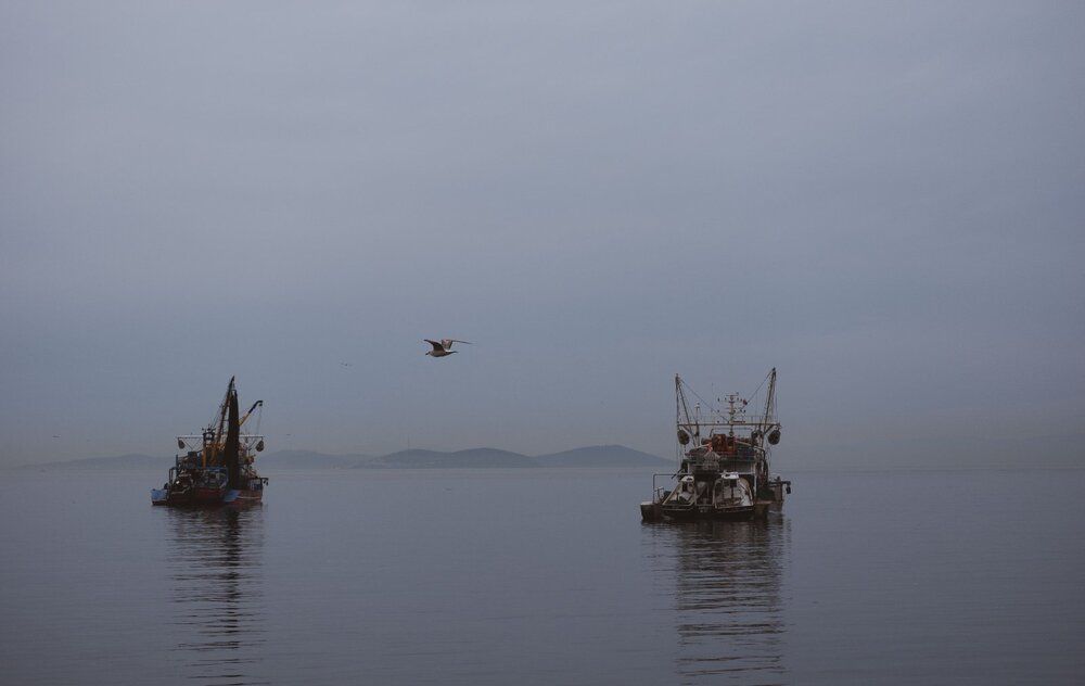 Photograph by Янина Найденцева