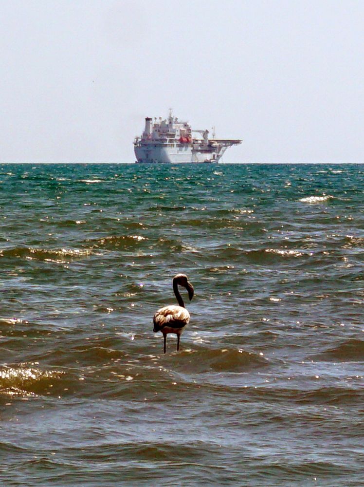 Photograph by Dimitris Lapousis