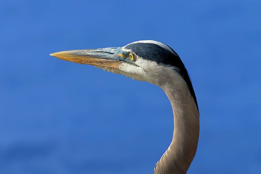 Photograph by Jeff Cooley