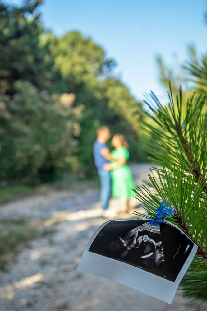 Фотография автора Ксения Золотарь