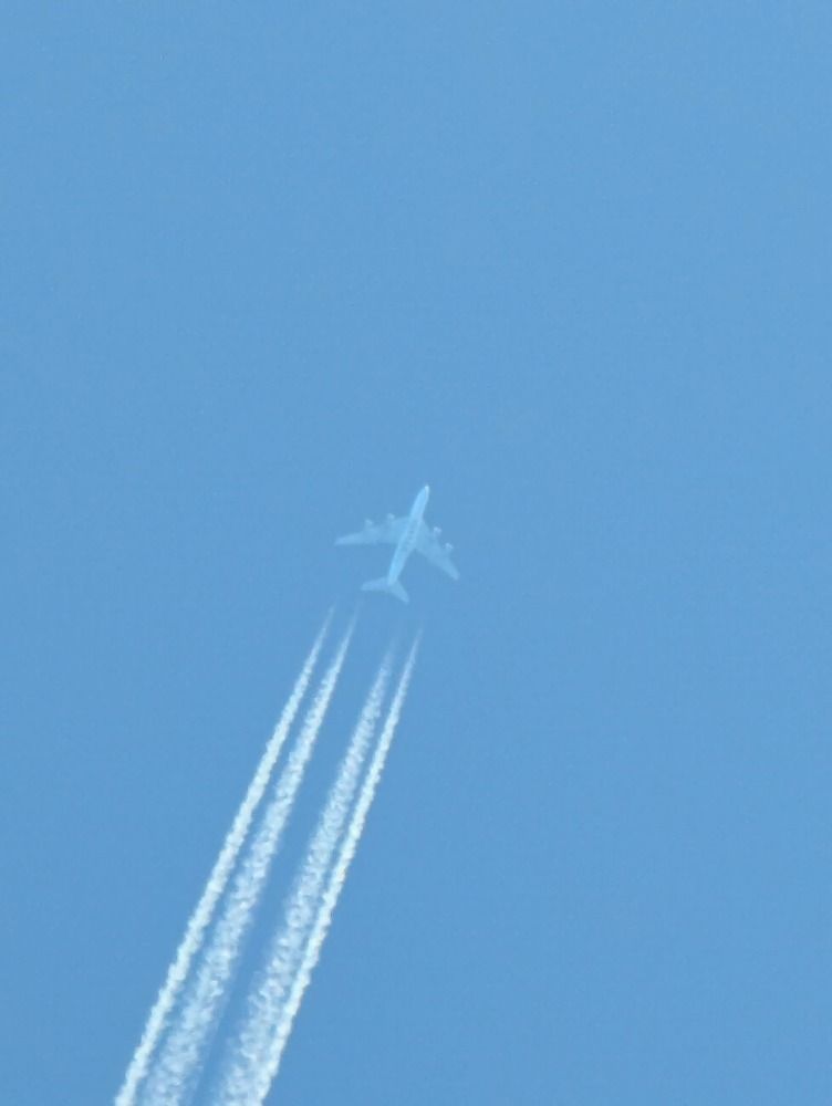 Photograph by Dimuth De Zoysa