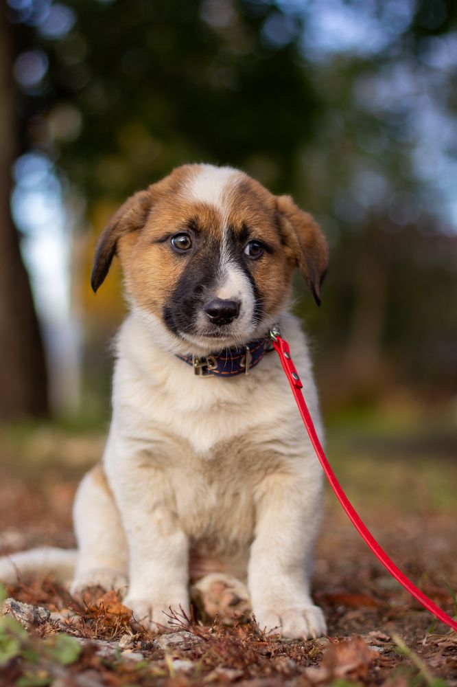 Фотография автора Илья Антипов