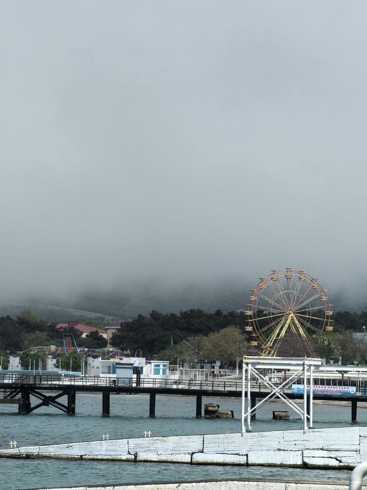 Фотография автора Ксения Золотарь