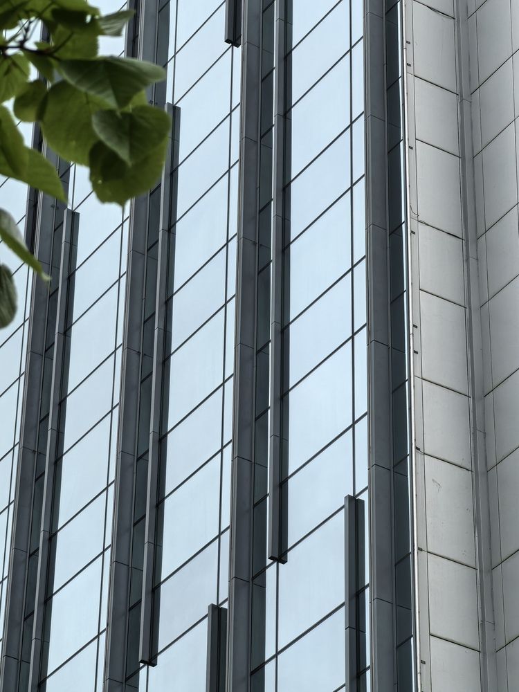 Фотография автора Ксения Золотарь