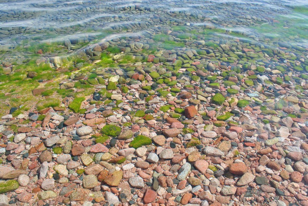 Don't touch the nature !!!