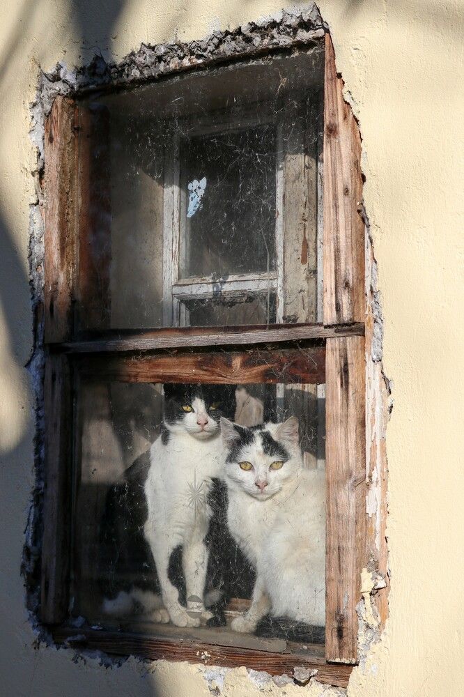 Photograph by Oksana