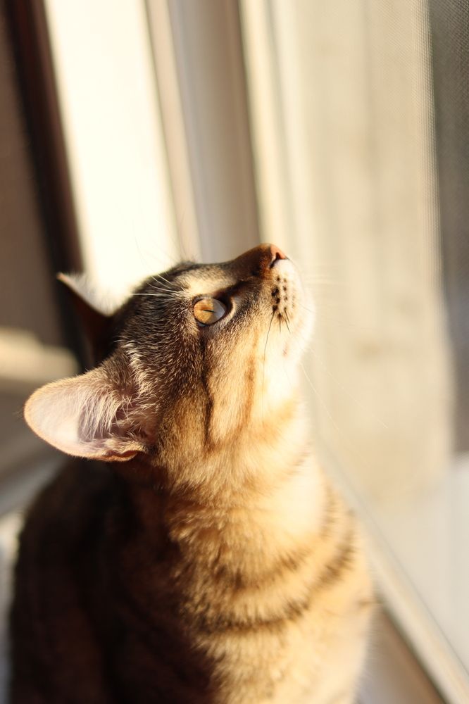 Фотография автора Ксения Золотарь