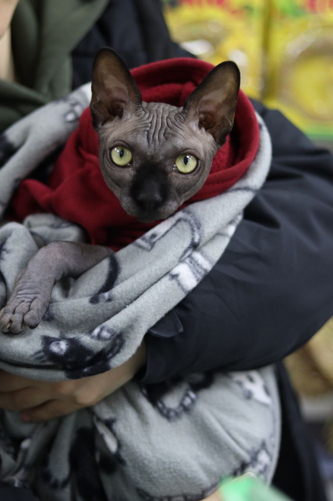 Фотография автора Ксения Золотарь