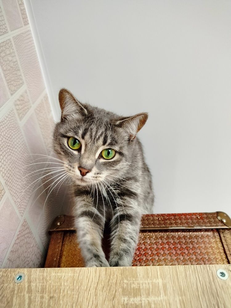 Фотография автора Анастасия Горбачева