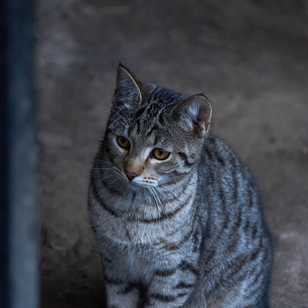 Photograph by Dana Korolkova