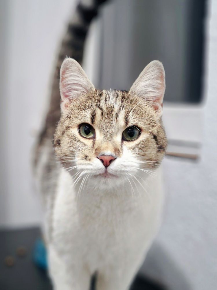 Photograph by Robert Suditu