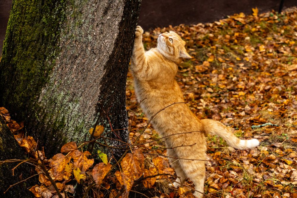 Photograph by Андрей Соколов