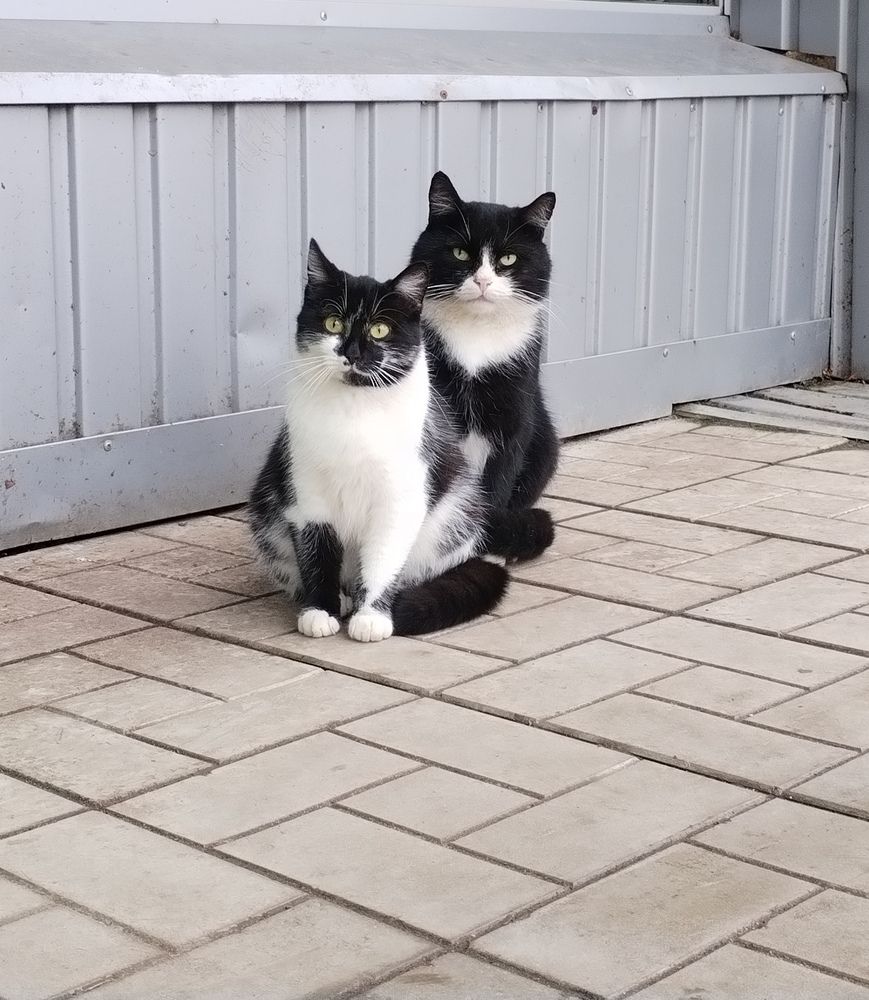 Фотография автора Юлия Ю.