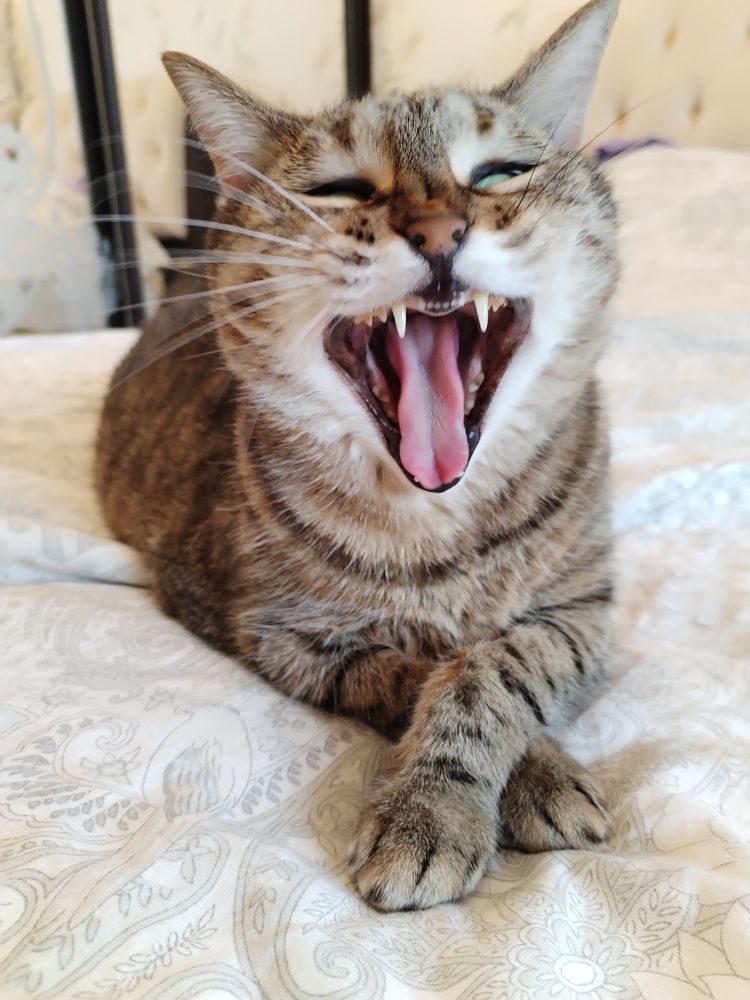 Фотография автора Юлия Ю.