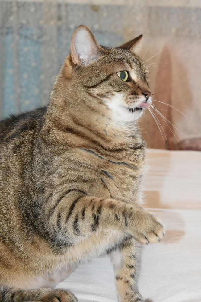 Фотография автора Юлия Ю.