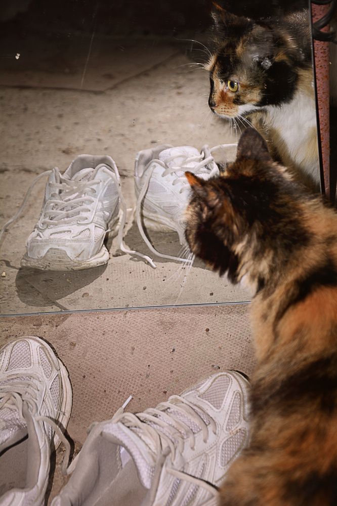 Photograph by Светлана Зубанова