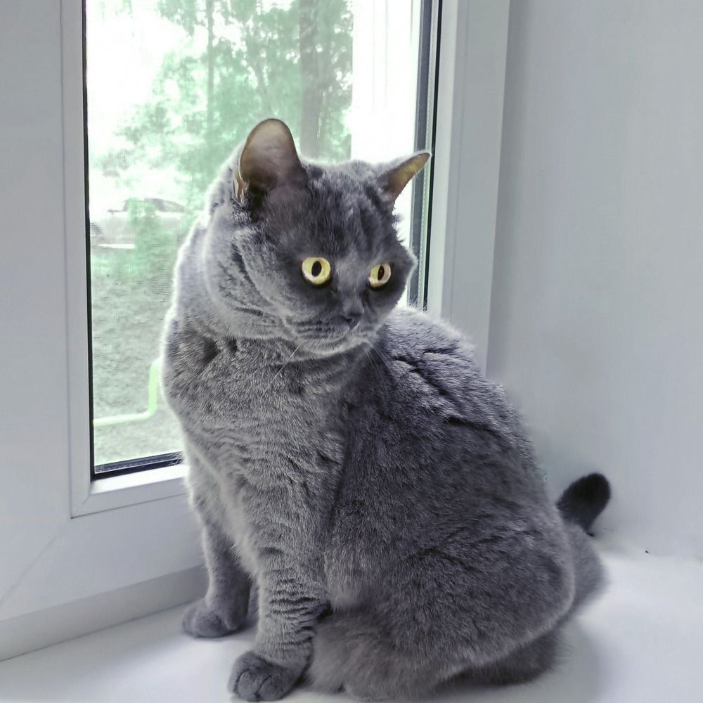 Photograph by Светлана Зубанова