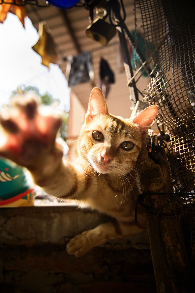 Photograph by Bùi Nguyễn